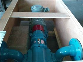 羅德排污轉(zhuǎn)子泵 羅德排污轉(zhuǎn)子泵