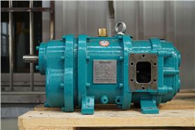 羅德品牌RDB6型凸輪轉子泵