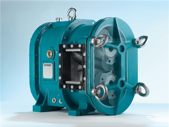 凸輪轉(zhuǎn)子泵 凸輪轉(zhuǎn)子泵