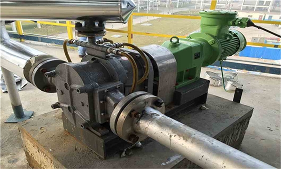 高粘度轉(zhuǎn)子泵 高粘度轉(zhuǎn)子泵