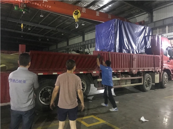 大流量轉(zhuǎn)子泵移動泵車 大流量轉(zhuǎn)子泵移動泵車