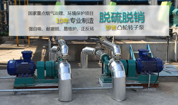 羅德凸輪轉(zhuǎn)子泵在國家環(huán)保項(xiàng)目中的應(yīng)用 羅德凸輪轉(zhuǎn)子泵在國家環(huán)保項(xiàng)目中的應(yīng)用