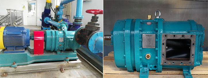 羅德轉(zhuǎn)子泵能替代螺桿泵以及隔膜泵嗎？