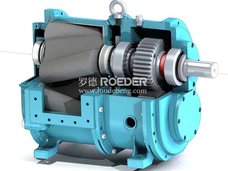 轉(zhuǎn)子泵在線維護