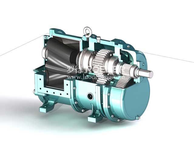 凸輪轉(zhuǎn)子泵 凸輪轉(zhuǎn)子泵